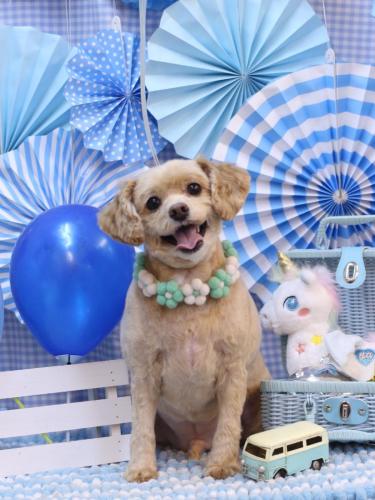 20231123ブランくん